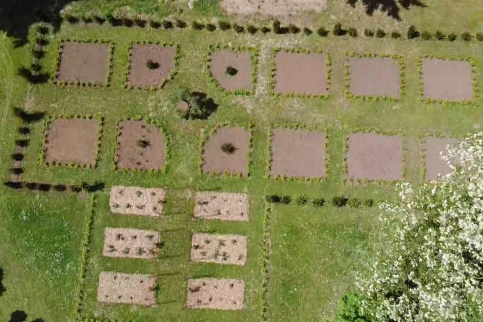 Roseraie Renaissance Loches