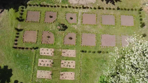 Roseraie Renaissance Loches