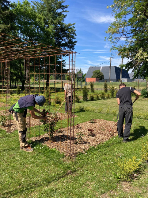 Roseraie Renaissance Loches