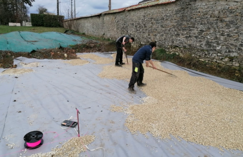 jardin méditerranéen