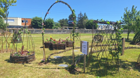 Fête des plantes 2025