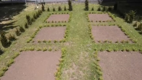 Roseraie Renaissance Loches