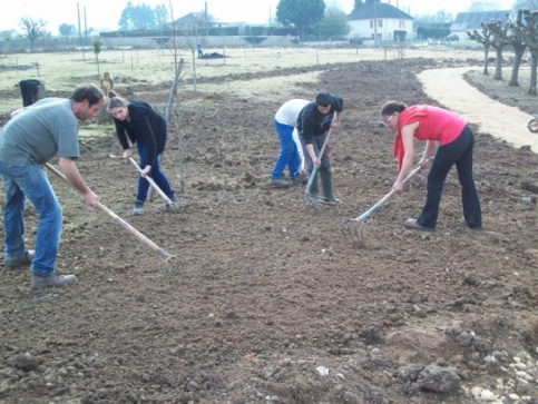 Nivellement et épierrage