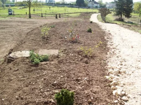 plantation de l'allée descendant dans l'arborétum