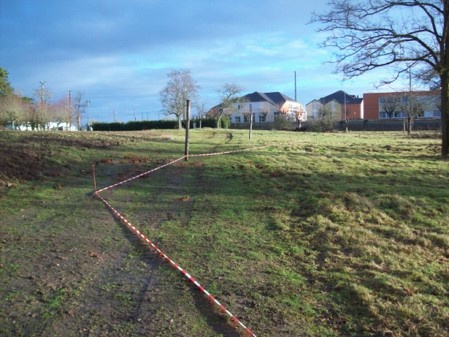 piquetage des allées et des arbres