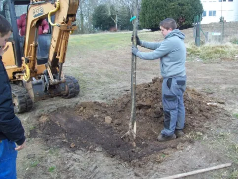 plantation du premier arbre