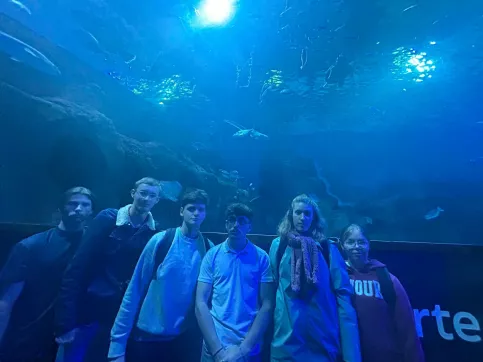 Ersamus Seville 2026-6