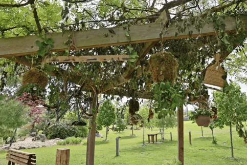 Fête des plantes loches