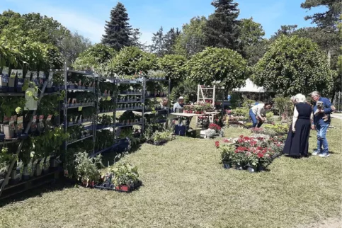 Fête des plantes loches