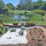 Fête des plantes 2025